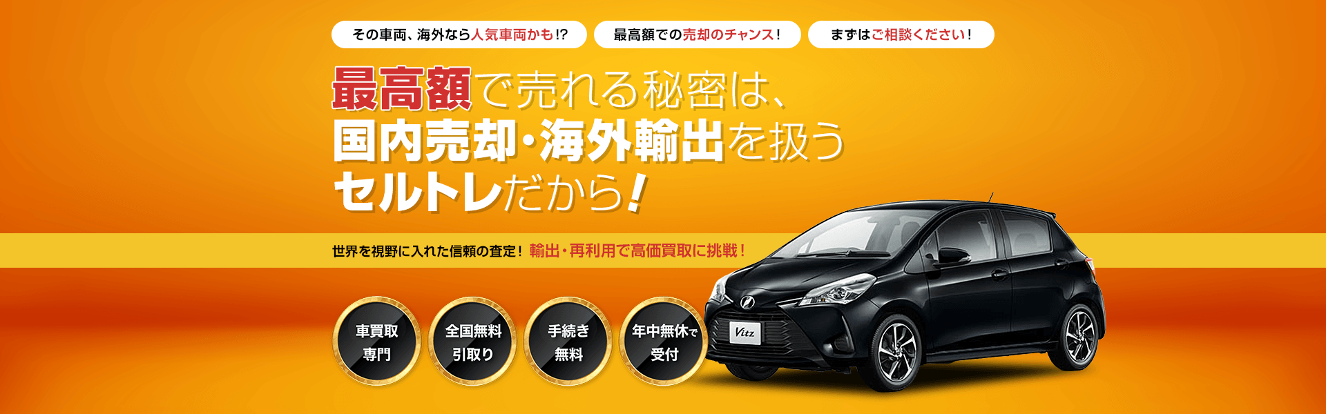 セルトレの公式サイト画像